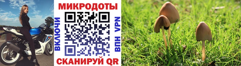 блэк спрут ТОР  Анадырь  Галлюциногенные грибы Cubensis 